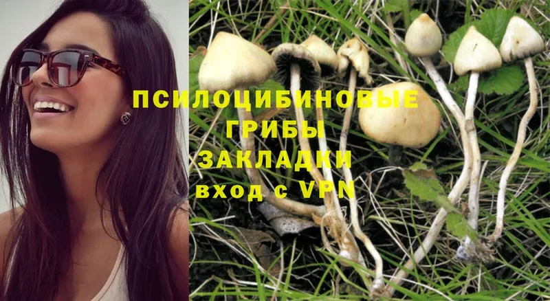 ссылка на мегу ONION  Москва  Псилоцибиновые грибы Psilocybine cubensis 